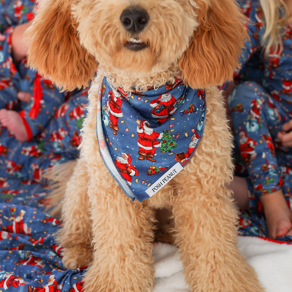 Santa Claus Dog Bandana