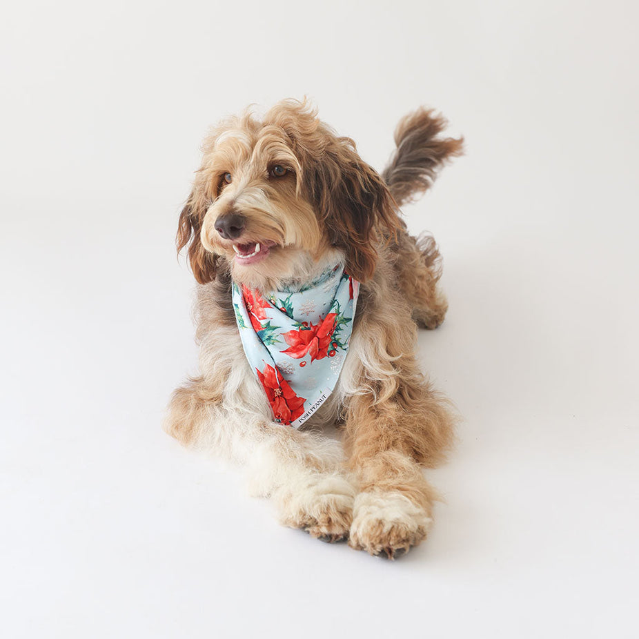 Winter Lily Dog Bandana