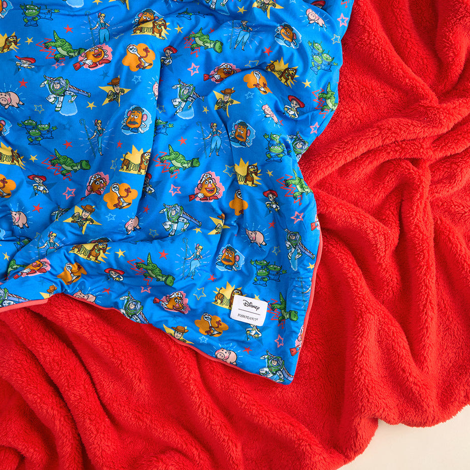 Disney Toy Story Luxe Plush Patoo® Blanket