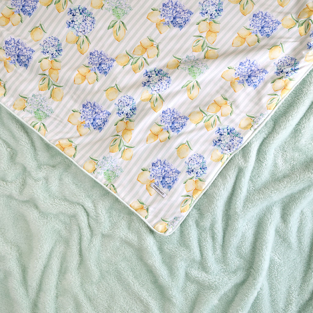 Nicola Luxe Plush Patoo® Blanket