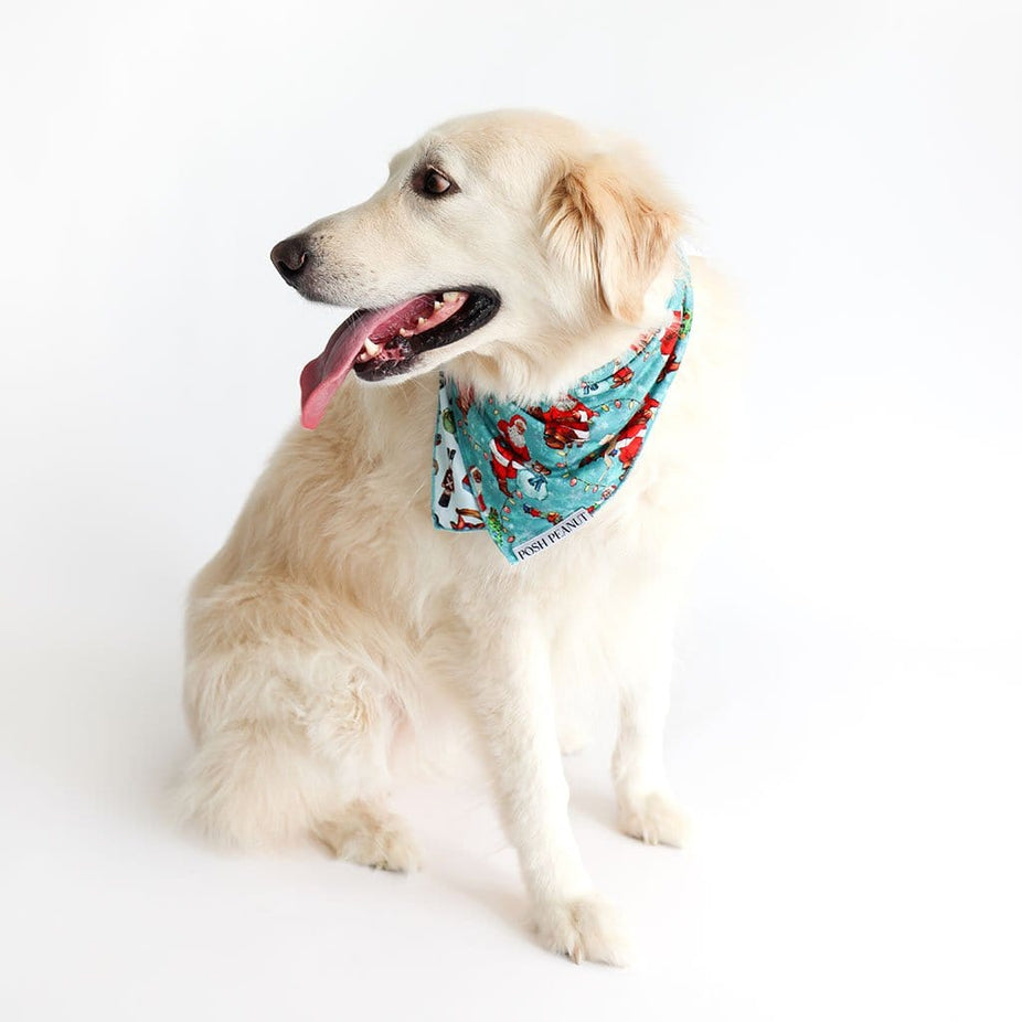 Jolly Saint Nick Dog Bandana