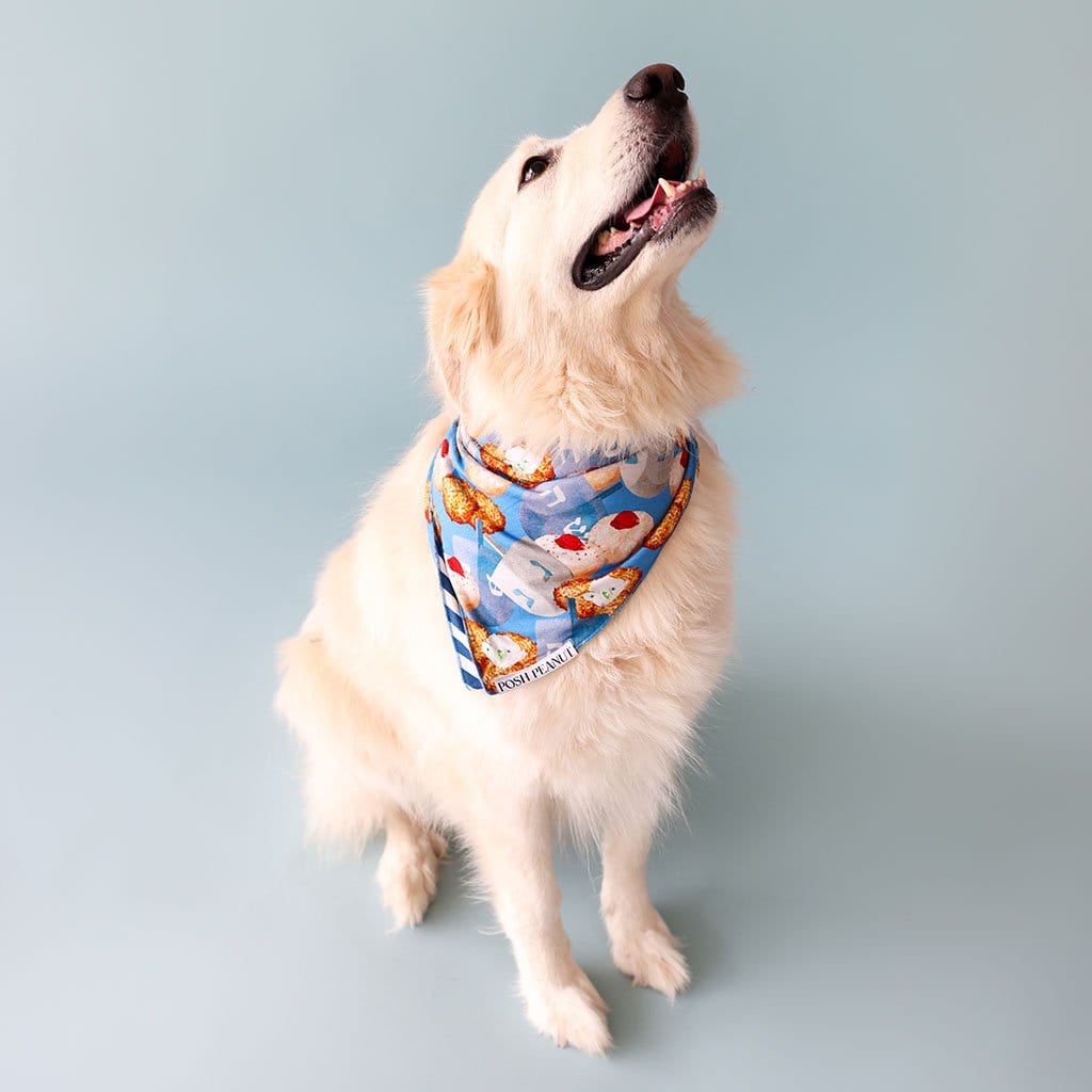 Hanukkah Dog Bandana