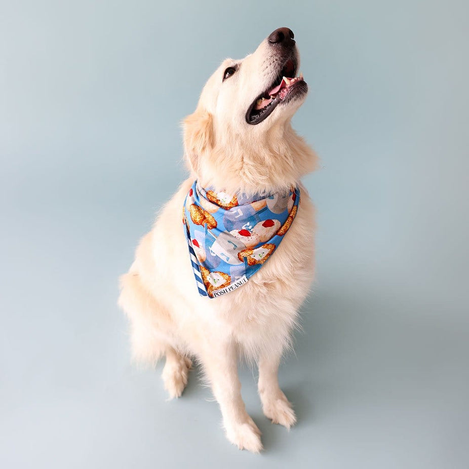 Hanukkah Dog Bandana