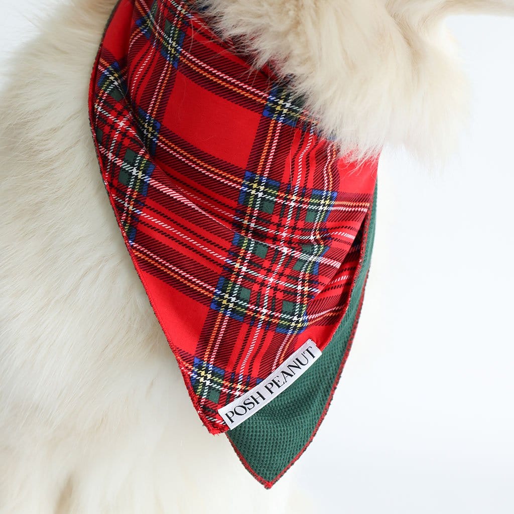 Vintage Red Tartan Dog Bandana