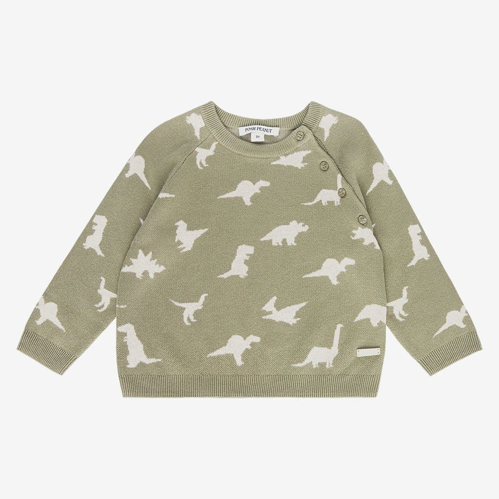 Poshosaurus Long Sleeve Kimono Sweater