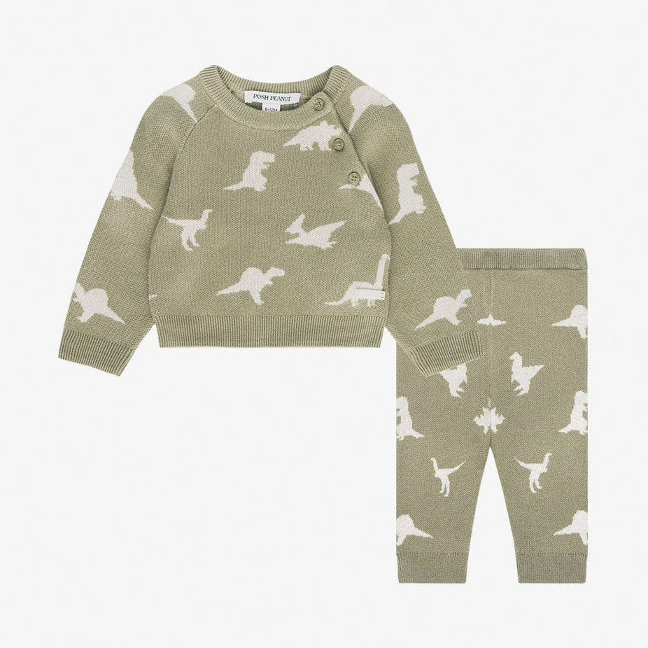 Poshosaurus Kimono Sweater Legging Set