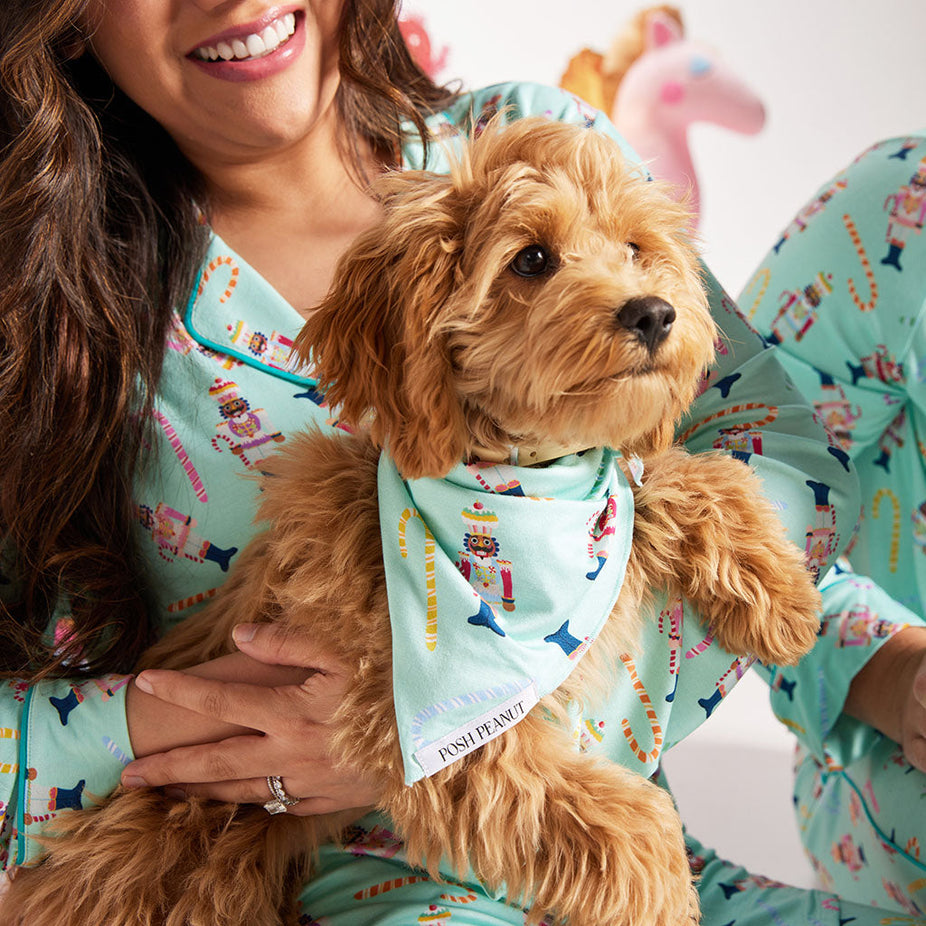 Glitterville™ Colonel Cupcake Dog Bandana