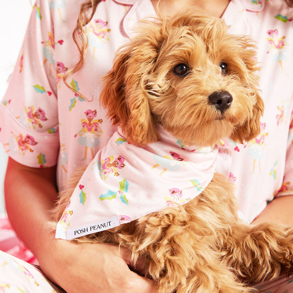 Glitterville™ Sugarplum Pixie Dog Bandana