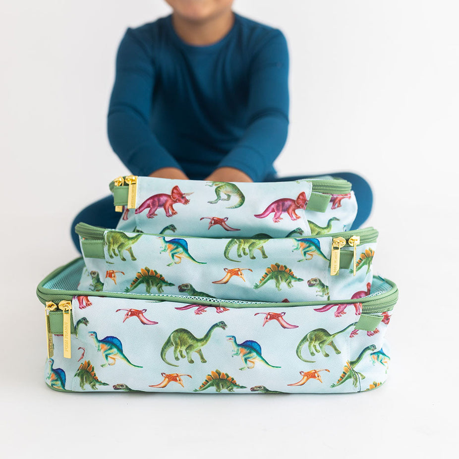 Buddy Travel Cubes