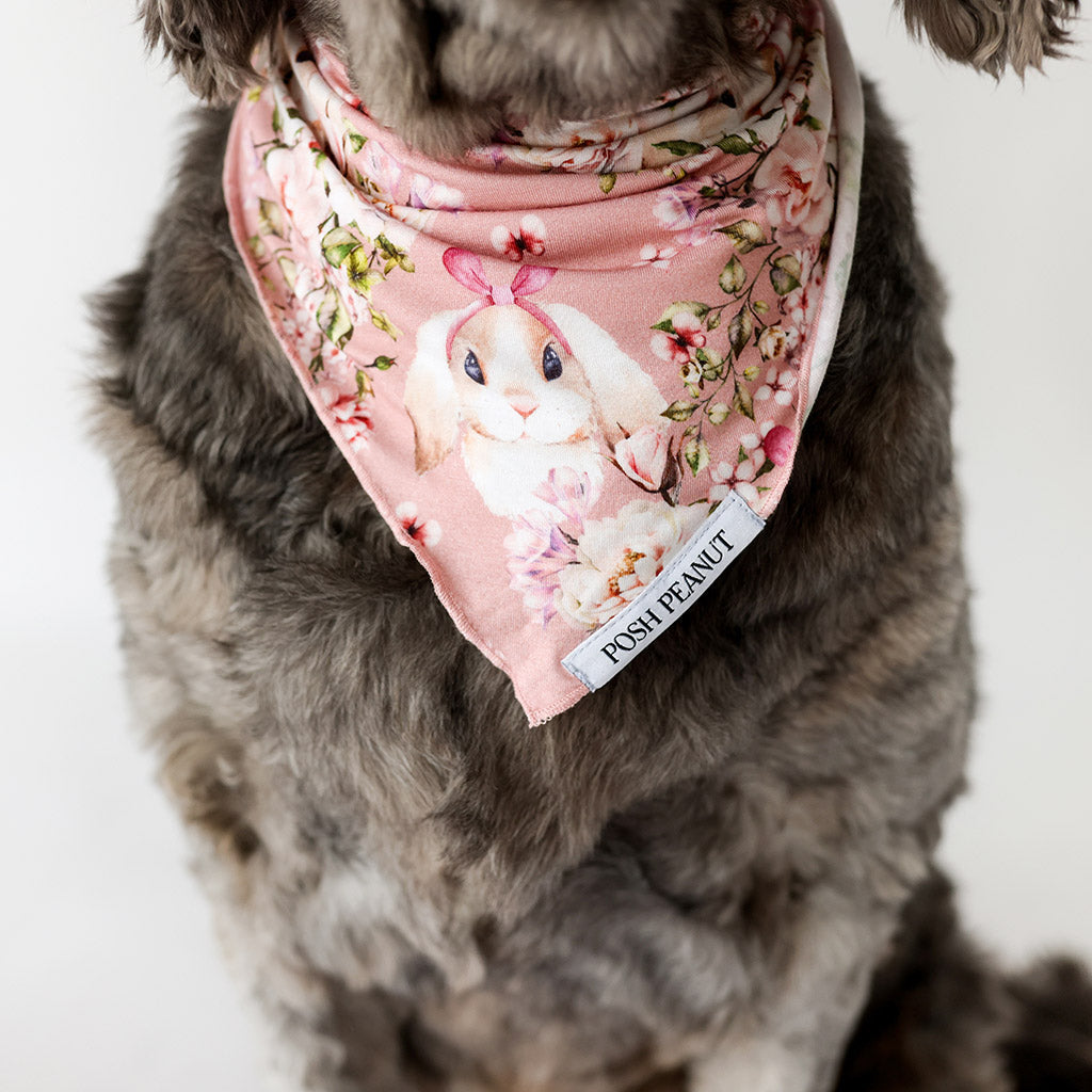 Babsy Dog Bandana