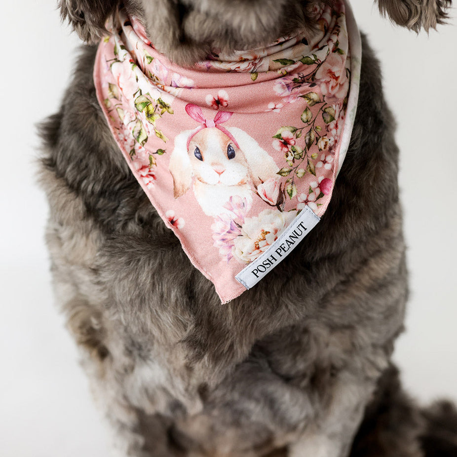 Babsy Dog Bandana