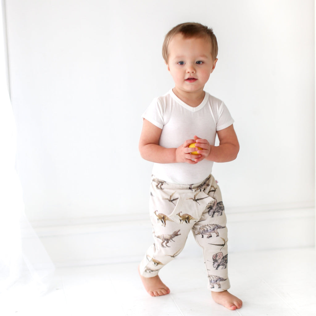 Vintage Dino Joggers